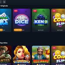 a screenshot of a video game